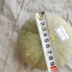 かぼちゃ　ミニカボチャ　こなゆきひめ約500g程度　の画像