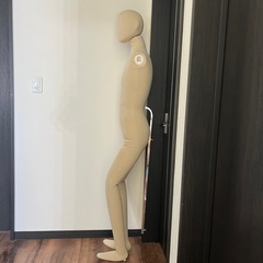 マネキン　トルソーの画像