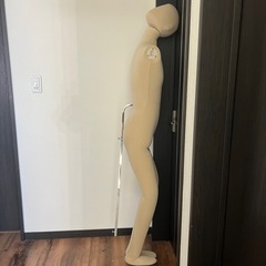マネキン　トルソーの画像