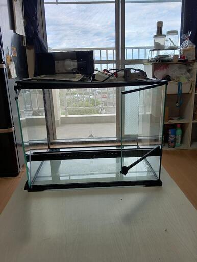 爬虫類飼育セット (ヨッシー) 静岡のその他の中古あげます・譲り