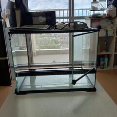 爬虫類飼育セットの画像