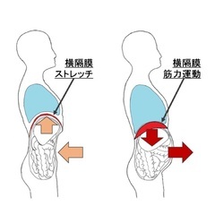 ☆2名限定☆腹式発声を体得したい方！全6回のボイトレ♪の画像