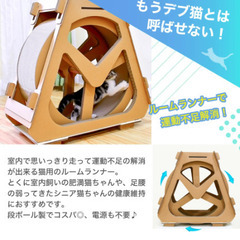 キャットホイールSサイズの画像