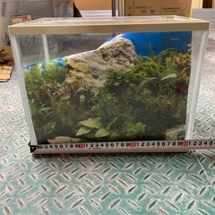水槽の画像