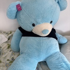 ぬいぐるみクマさんの画像