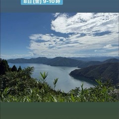 夏のリンパマッサージ