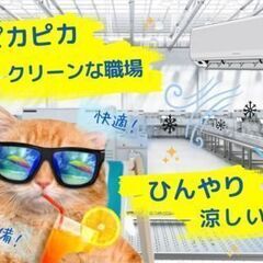 【寮費無料×交通費倍額キャンペーン中】新規メンバー募集！目視検査スタッフ　日勤＊土日祝休＊未経験歓迎の画像