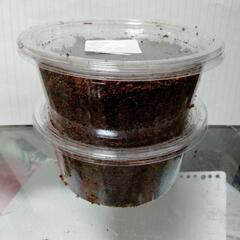 ヘラクレスオオカブト幼虫1匹の画像