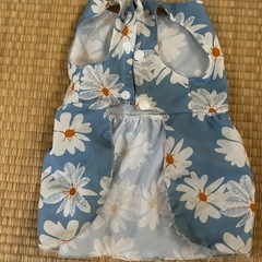 Mサイズ犬用夏服の画像