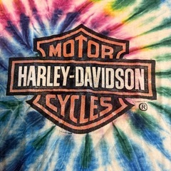 00s HARLEY DAVIDSON タイダイ柄 BORN TO RIDE Mの画像