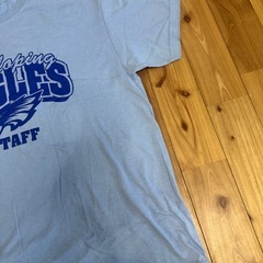 JERZEES EAGLES STAFF イーグルス Tシャツ Lサイズ 薄青の画像