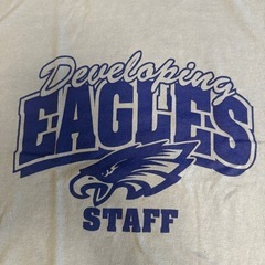 JERZEES EAGLES STAFF イーグルス Tシャツ Lサイズ 薄青の画像