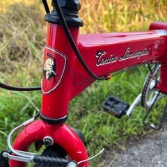 名古屋市内お届け無料20インチ折りたたみ自転車ランボルギーニの画像