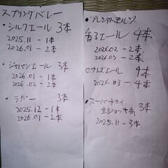 引渡し確定★少しお高目の美味しい良いビール ２０本の画像