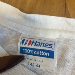 Hanes USA製 SPORT USA TV ASAHI Tシャツ Lの画像