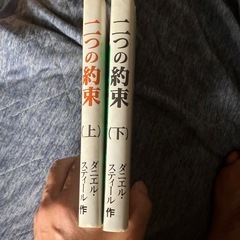 ダニエル.スティール 二つの約束上下かんかの画像