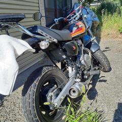 ホンダエイプ50　キャブ車の画像
