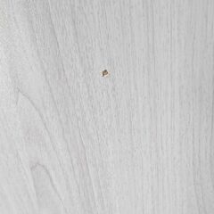 【無料】こたつの天板 75cm×75cm 正方形 ※受付終了になっていない限りは気長に募集中の画像