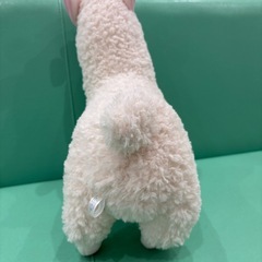 ミラバケッソ人形の画像