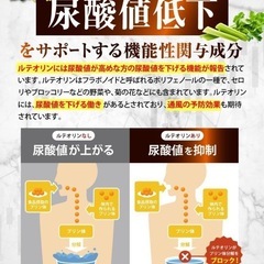 カロバーン尿酸値α 西彼、長崎市、大瀬戸町相談可の画像