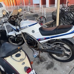 vt250feの画像