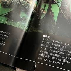 恐竜図鑑　『恐竜探険』　　の画像
