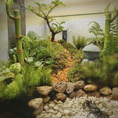【助けてください】苔・植物・テラリウムを扱う園芸店で働きたい・雇...
