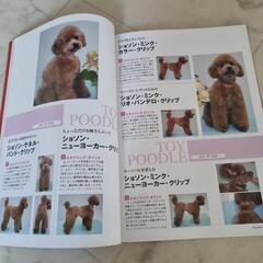 dogヘアーカタログの画像