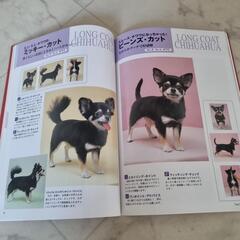dogヘアーカタログの画像