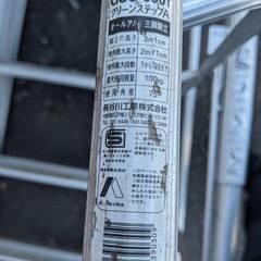 HASEGAWA ハセガワ 長谷川 GSC-300T グリーンステップ 脚立 ステップ  302ｃｍ10尺 はしご 梯子 ハシゴ アルミ 踏み台 造園の画像
