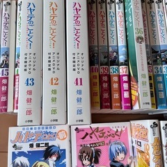 ハヤテのごとく！の画像