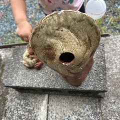 たぬき、かえるのおきものの画像