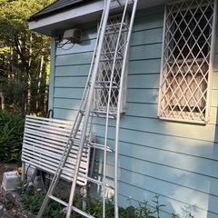 巨大三脚 屋根まで届く高さ 園芸の画像
