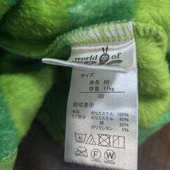 80 はらぺこあおむしの画像