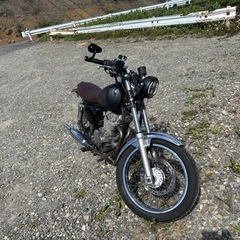 ボルティ250カスタム　ブラットスタイル　SR.ST.グラストラッカーの画像