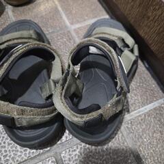1９CM サンダルColemanの画像