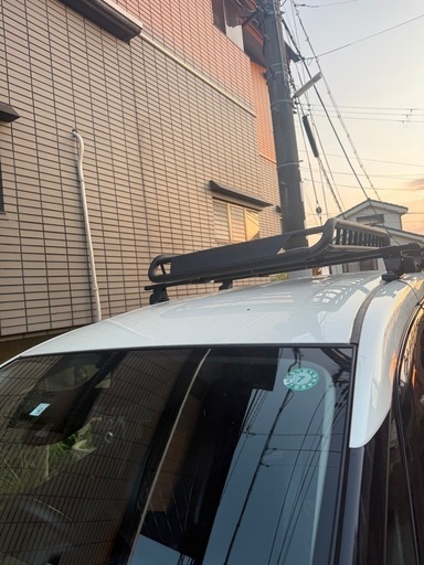 セレナ　キャリア