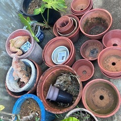 【取引中】植木鉢  鉢全ての画像
