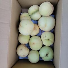 本日決定自宅用赤磐市の桃の画像