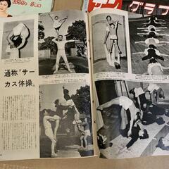 サングラフ　まとめ　 サン写真新聞社 日航の画像
