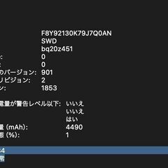MacBook Pro（13インチ,2019,Thunderbolt 3ポートx 4）256GB/8GB〈MV992J/A〉④の画像