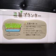 豆苗プランター　２個の画像