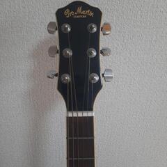 ProMartin guitarの画像