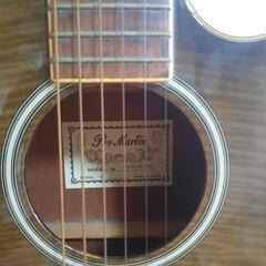 ProMartin guitarの画像