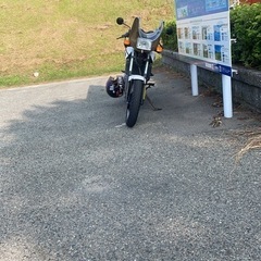 VT250Feの画像