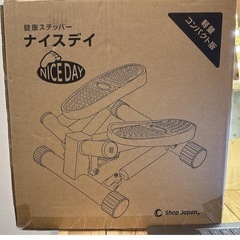 ナイスデイ(ステッパー)の画像