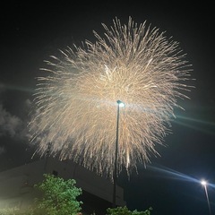 明日渋谷盆踊りか花火大会行ける人