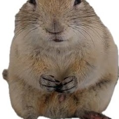 リチャードソンジリス