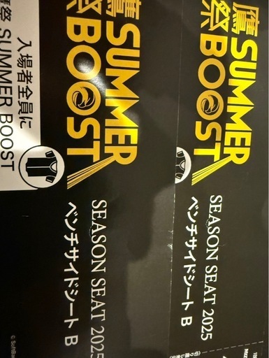 ベンチサイドシート