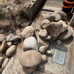 庭石の画像